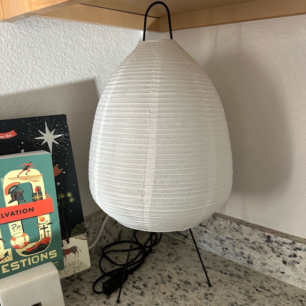 A19 9W DD LED Light Bulb